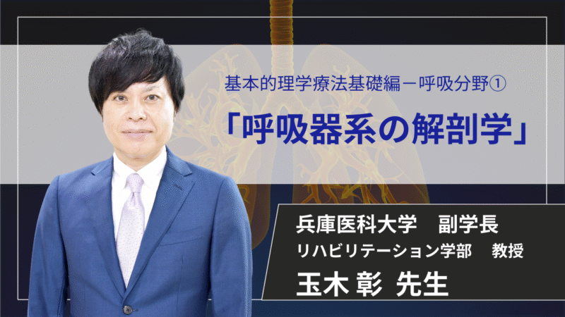 【2026年5月12日まで公開】　呼吸器系の解剖学 【 玉木 彰 先生】