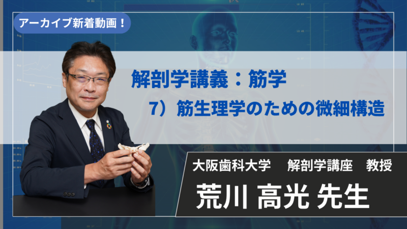 【2027年3月14日まで公開】解剖学講義：筋学　7）筋生理学のための微細構造【荒川 高光 先生】